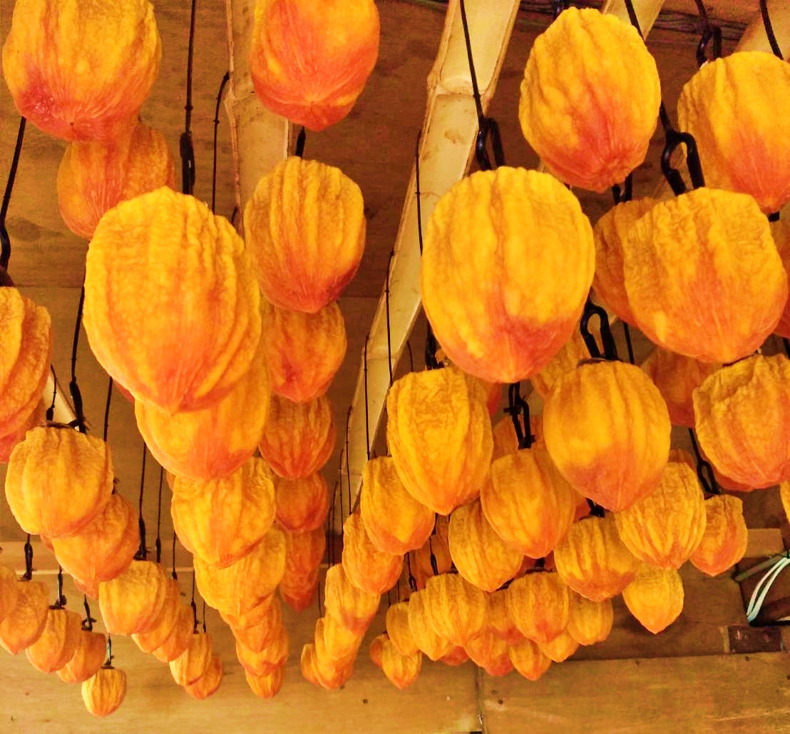 ＜2026年発送分先行予約＞山梨県南アルプス市産　あんぽ柿（百目柿）　大玉8個　化粧箱入り ALPAH003