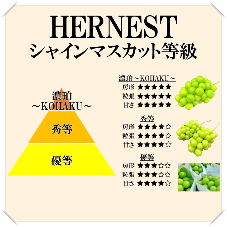 ＜2026年発送分先行予約＞山梨県南アルプス市産シャインマスカット　秀等品　約1.8ｋｇ　3～5房 ALPAH017