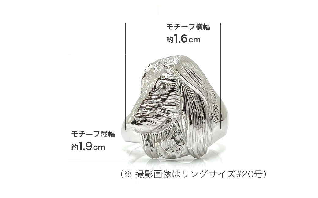 純プラチナ製(Pt999) 『アフガン・ハウンド』リング ALPER015