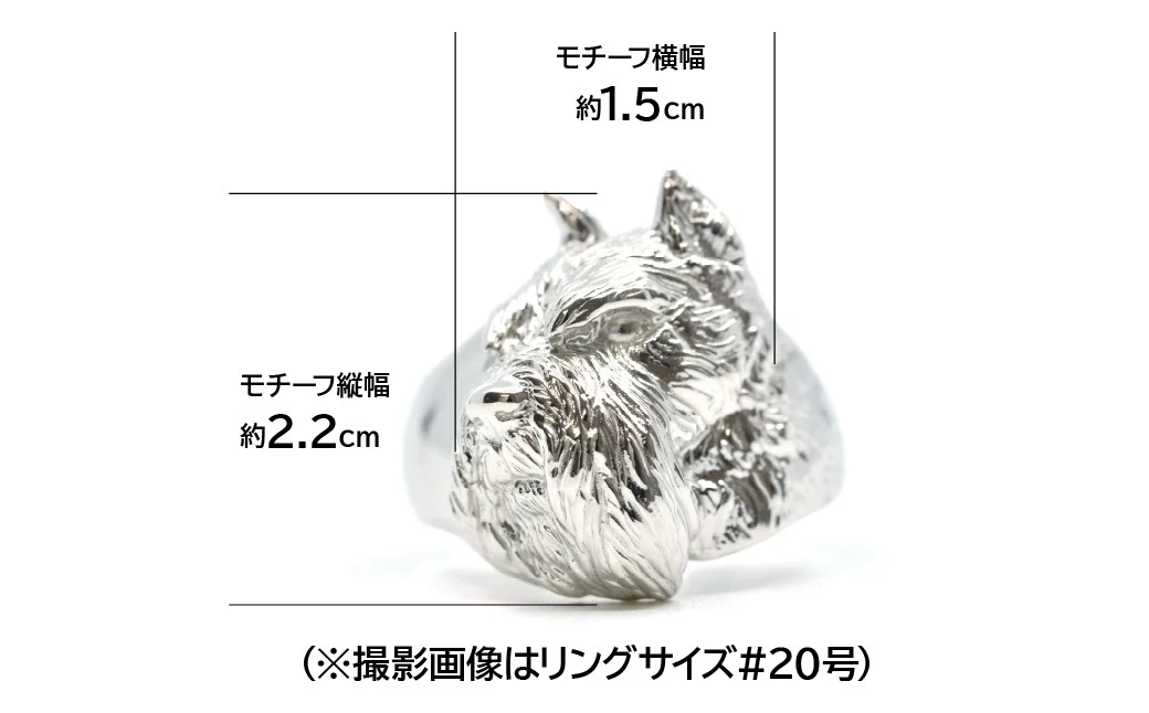 純プラチナ製(Pt999) 『シュナウザー』リング ALPER017