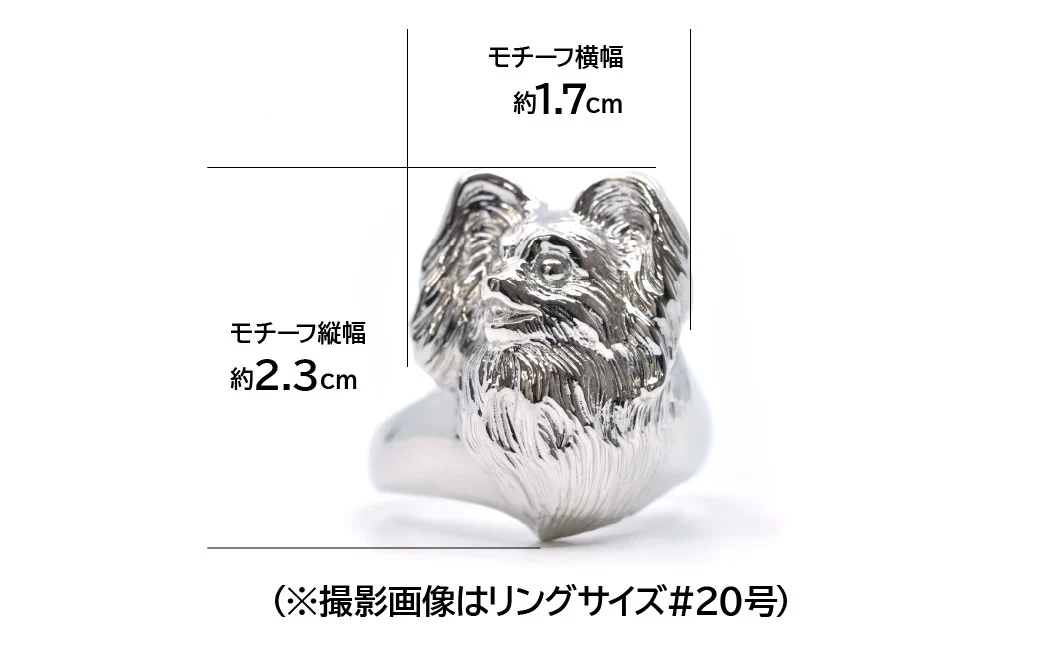 純プラチナ製(Pt999) 『パピヨン』リング ALPER019