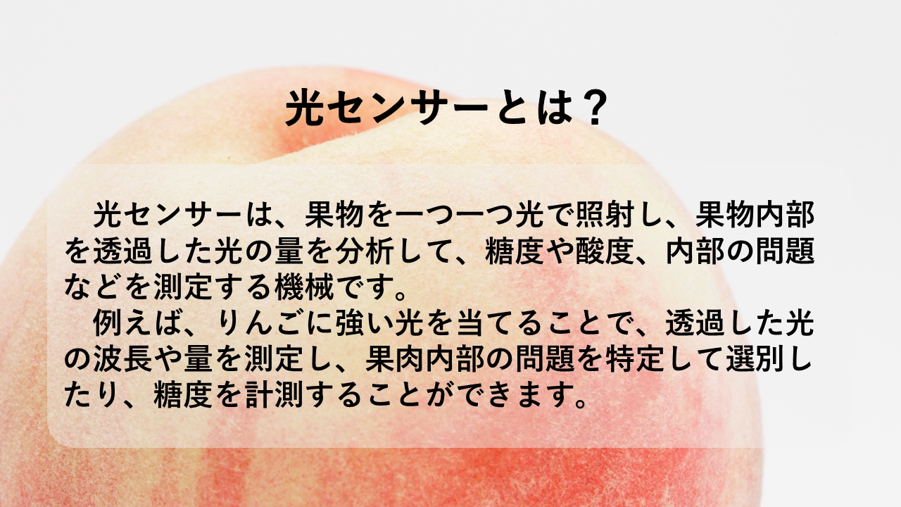 ＜2026年発送先行予約＞光センサー桃「エクセレント」約2ｋｇ ALPAA013