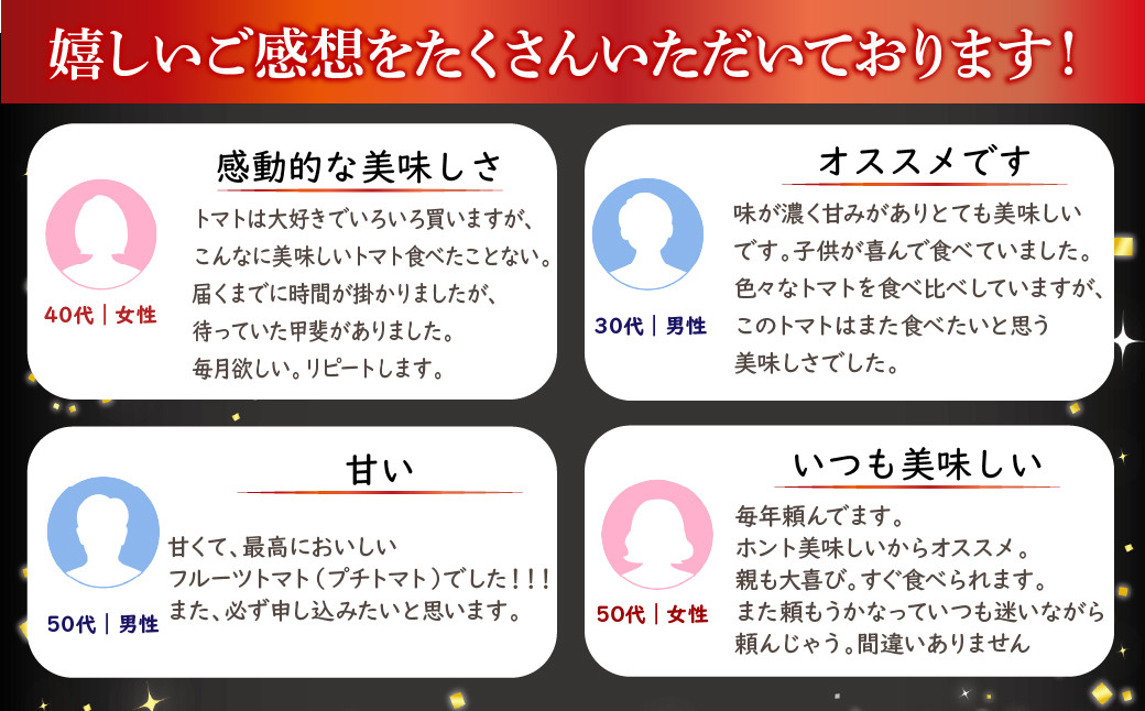 6-182 フルーツトマト「トマ糖＊太陽のめぐみ」フルティカ２kg ALPBI004