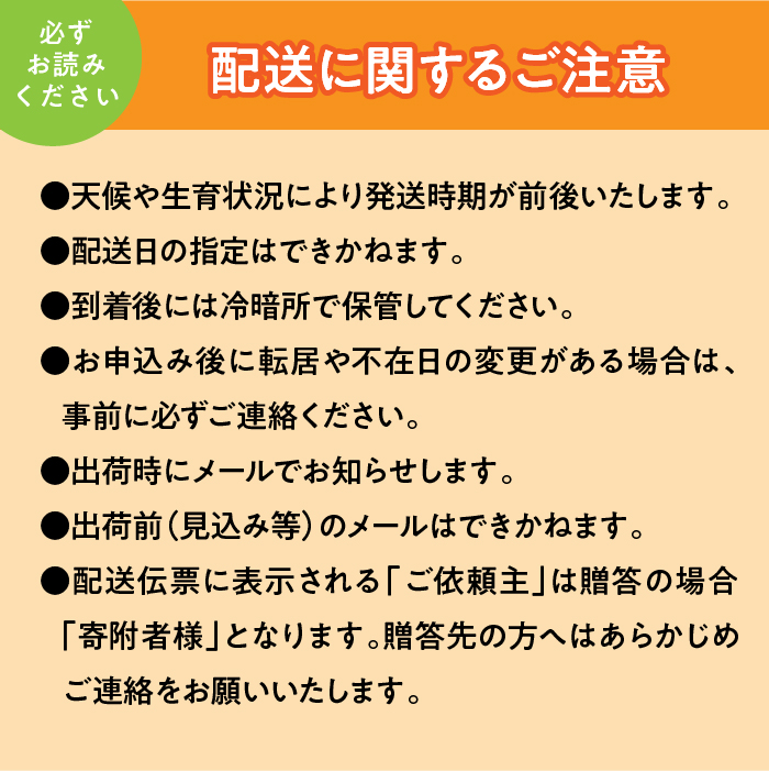 ＜2026年発送先行予約＞頬張る幸福感　～ 緑の宝石・シャインマスカット ～　1.2㎏以上 2～3房　ALPCV002