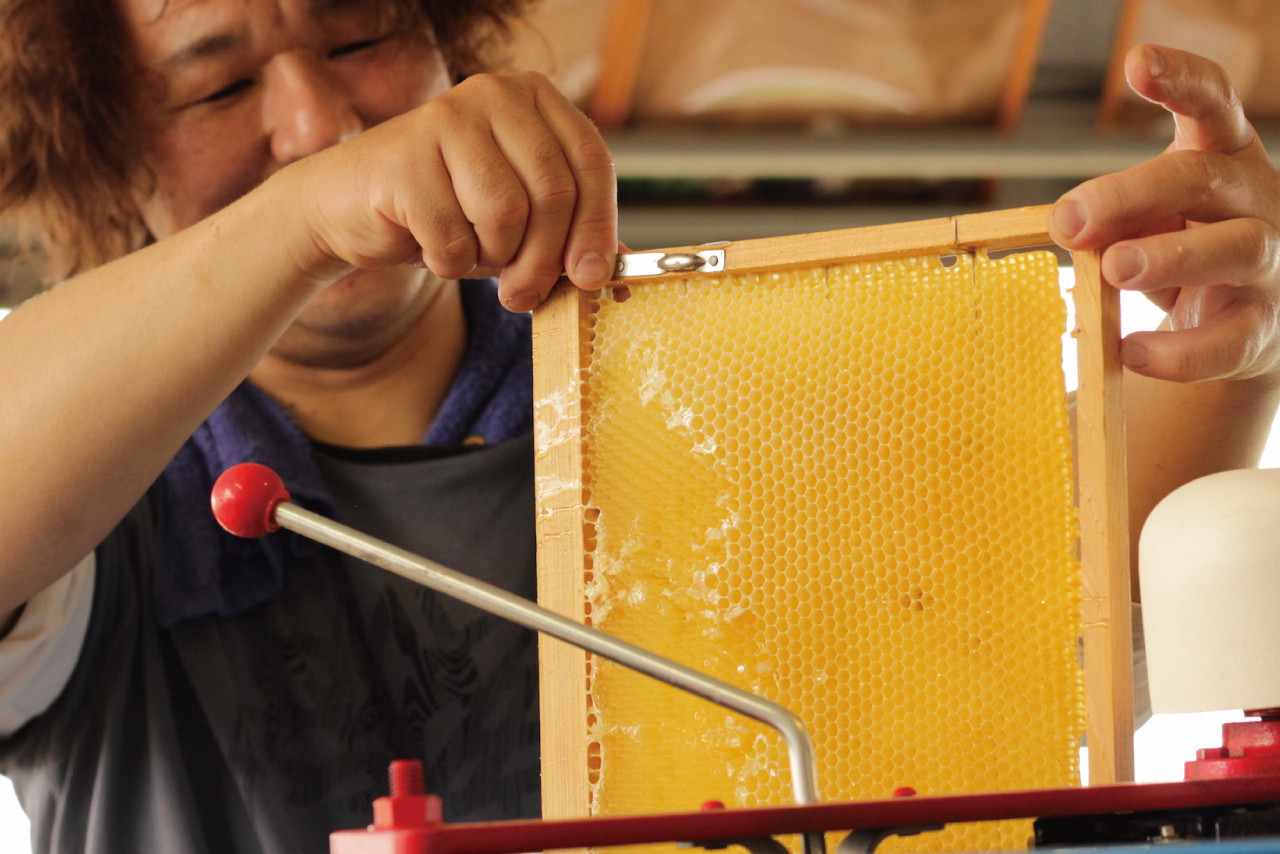 2-9-59 自家のミツバチが集める南アルプス上宮地産　黄金色のアカシアはちみつ　ガラスびん詰 300g ３本 ALPAB065