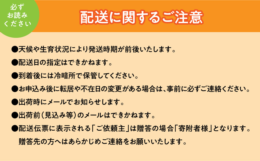 ＜2026年発送先行予約＞厳選！南アルプス市産　シャインマスカット　約1.2kg（2～3房） ALPDD009