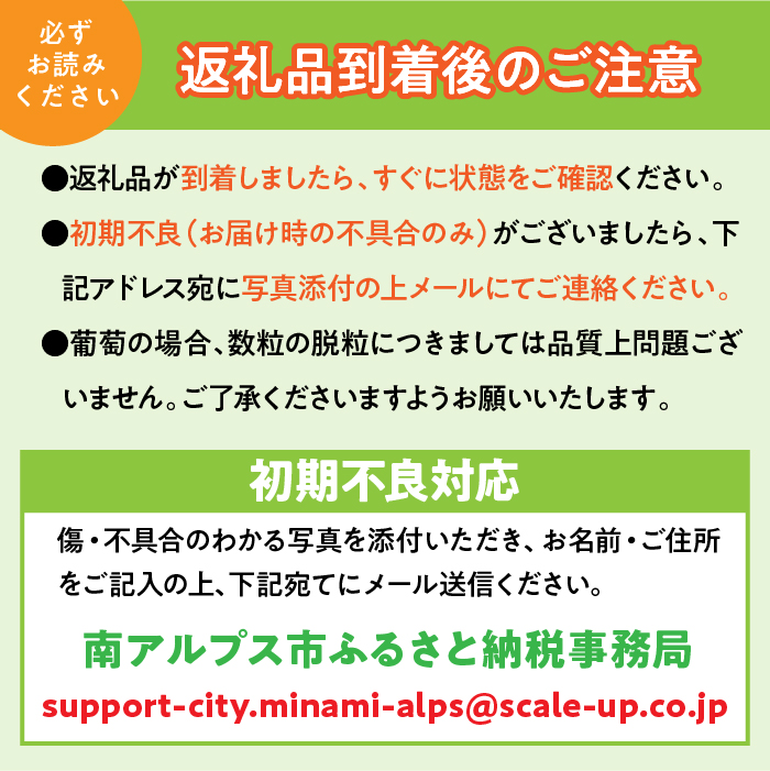＜2026年発送先行予約＞【シーズン中2回お届け定期便】頬張る幸福感　～ 緑の宝石・シャインマスカット ～　1㎏以上 2～3房　ALPCV010