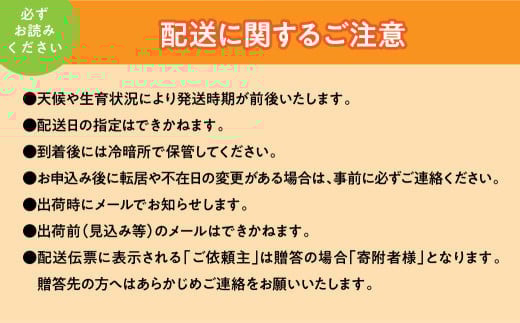 ＜2026年発送先行予約＞★TBSテレビ系列「ひるおび」で取り上げられました！★シャインマスカット 2房 約1kg (1房あたり約450g〜550g×2房） ALPAA055| 山梨 山梨県 ぶどう 葡萄 ブドウ マスカット フルーツ くだもの 果物 高級 新鮮 産地直送 贈答 ギフト 2026年