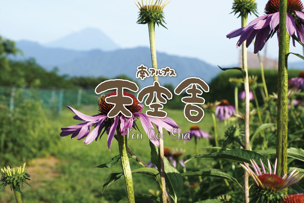 2-3-27 自社畑の甲州ぶどうで造った白ワイン「Laputa CRYSTAL」（南アルプス飯野産甲州ぶどう使用）2本 ALPAB058