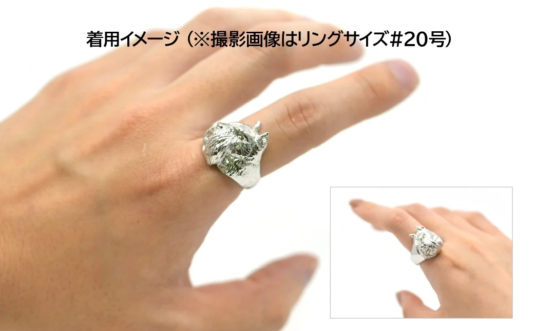 純プラチナ製(Pt999) 『シュナウザー』リング ALPER017