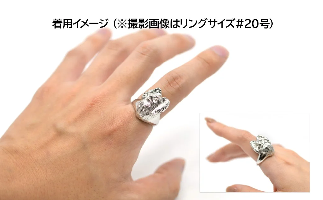 純プラチナ製(Pt999) 『パピヨン』リング ALPER019