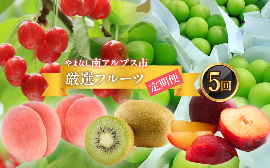 ＜2026年発送分先行予約＞フルーツギフト専門店が選ぶ南アルプスの厳選フルーツ定期便　全5品種（さくらんぼ・桃・貴陽・シャインマスカット・キウイ） ALPAH048