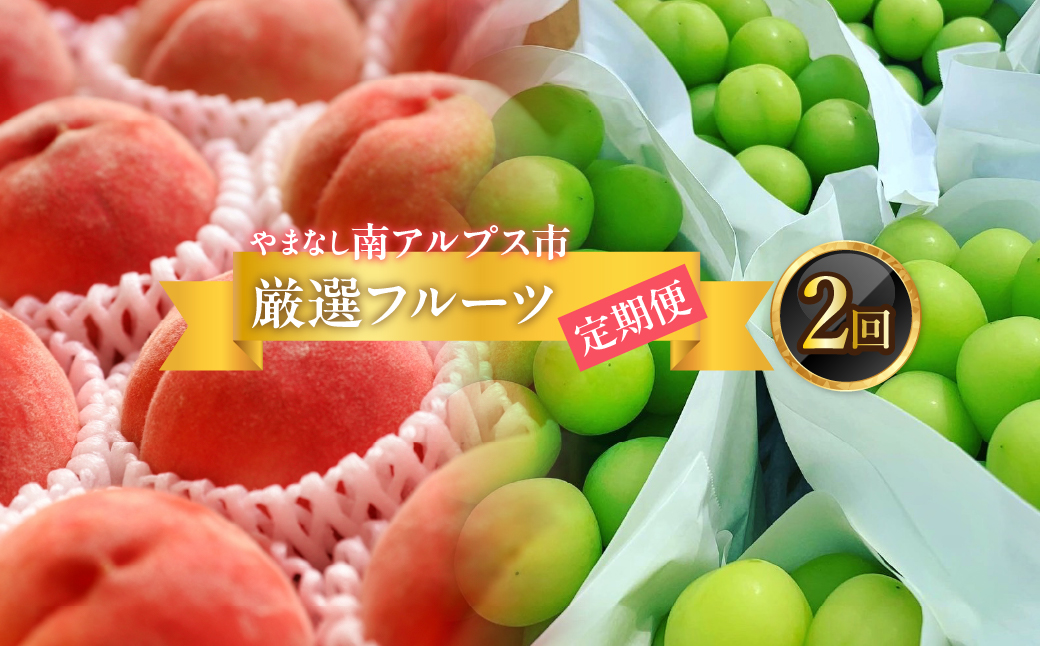 ＜2026年発送分先行予約＞フルーツギフト専門店が選ぶ南アルプスの厳選フルーツ定期便　全2品種（桃・シャインマスカット） ALPAH049