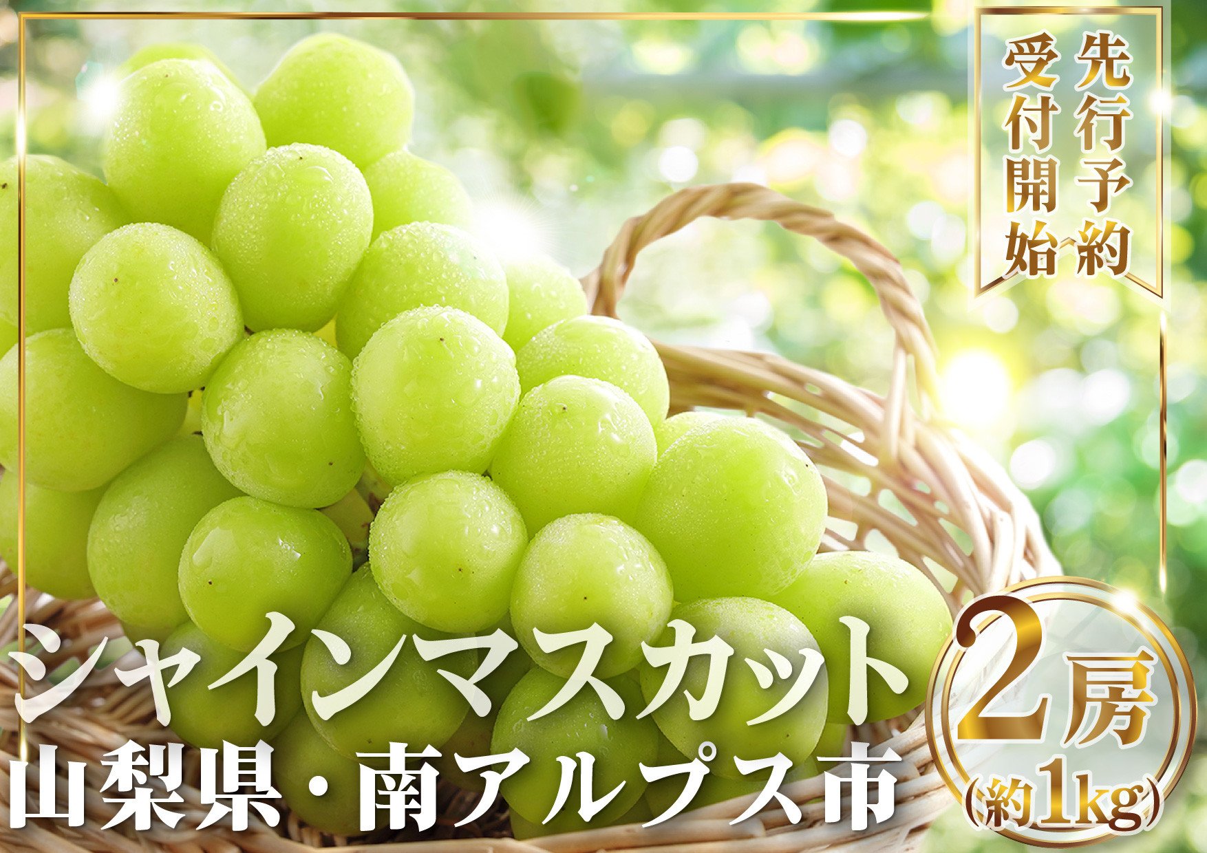5-51【2026年発送】山梨県産 シャインマスカット2房(1㎏以上) ALPAI027