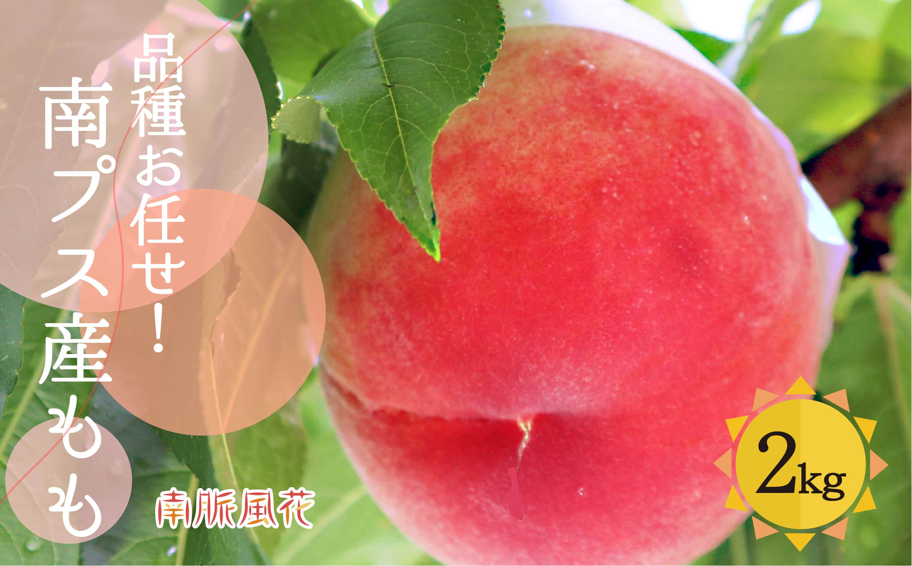 ＜2026年発送分先行予約＞南アルプス市産【桃】約2.0kg ALPAJ001