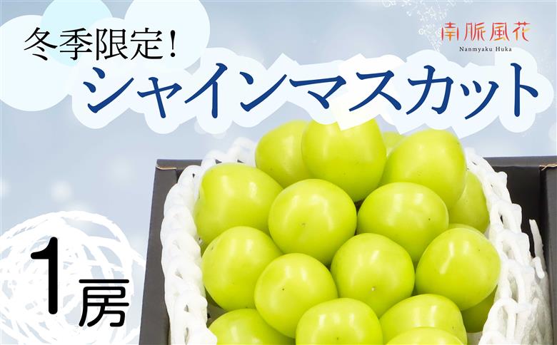 ＜2026年発送分先行予約＞冬に食べる　シャインマスカット１房 ALPAJ011　| シャインマスカット ぶどう フルーツ 冬 シャイン 1房 南アルプス市 山梨 山梨県