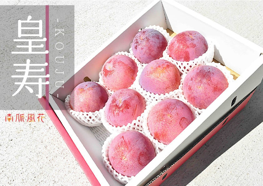 ＜2026年発送分先行予約＞高級スモモ【皇寿】1.8kg 相当　 ALPAJ017