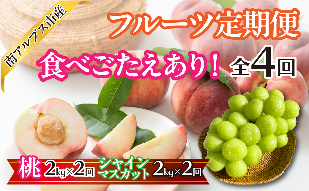 【2026年度先行予約】食べごたえあり！フルーツ4回定期便（桃2.0kg×2回　シャインマスカット2.0kg×2回） | くだもの 果物 フルーツ もも シャインマスカット ブドウ ぶどう 葡萄 山梨県産 産地直送 農家直送 新鮮 美味しい 南アルプス市 ALPAJ052