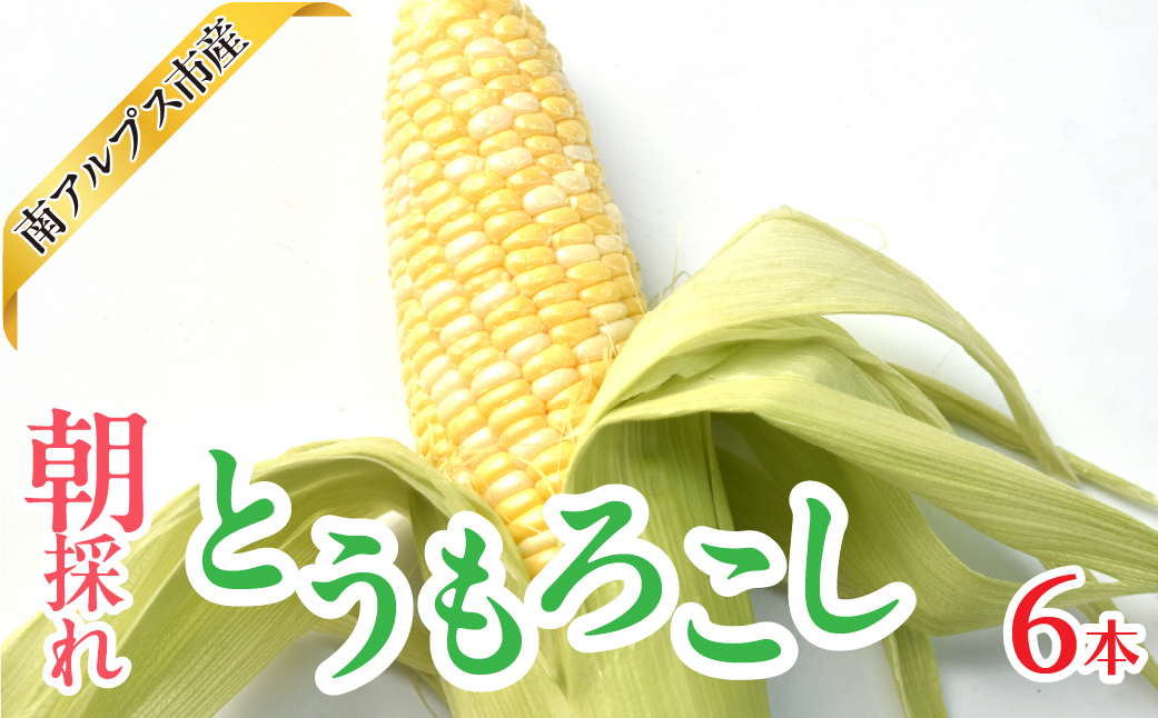 ＜2026年発送先行予約＞南アルプス市産　朝採れ　とうもろこし　6本　ALPAJ061