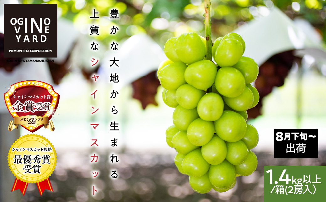 【2026年先行予約_8月下旬～発送】山梨県産シャインマスカット 1.4kg以上／箱　2房入 ALPAK006