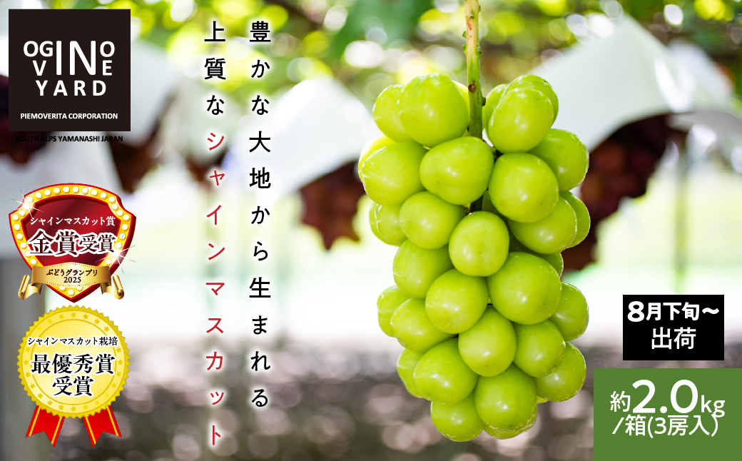 【2026年先行予約_8月下旬～発送】山梨県産シャインマスカット 約2.0kg／箱　3房入 ALPAK008