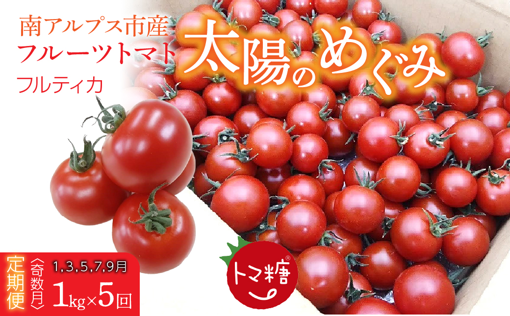 発送月固定定期便・フルーツトマト「トマ糖・太陽のめぐみ」フルティカ1kgを全5回（1月、3月、5月、7月、9月） ALPBI012