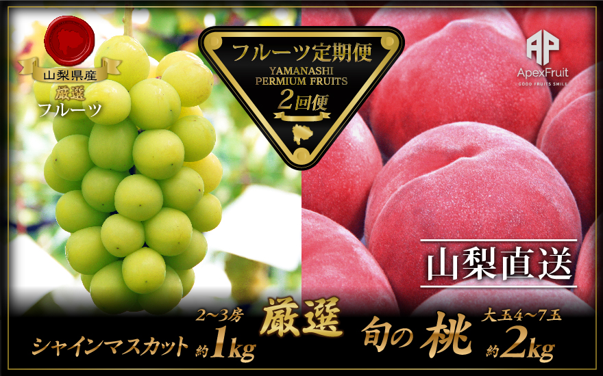 ＜2026年発送先行予約＞厳選！南アルプス市産　『フルーツ定期２回便』 ALPDD006