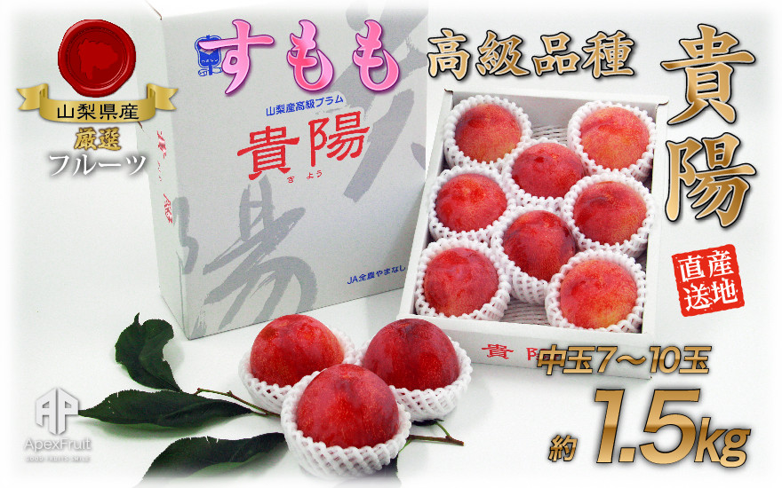 ＜2026年発送先行予約＞ 厳選！南アルプス市産『貴陽』　中玉約1.5kg（7～10玉）