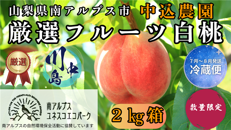 ＜2026年発送先行予約＞ 山梨県南アルプス市産 厳選桃 (川中島) 2kg ALPEM002