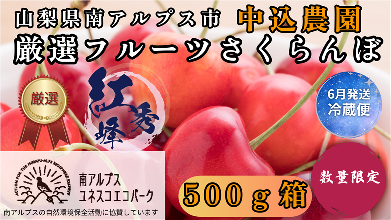 ＜2026年発送先行予約＞ 山梨県南アルプス市産 厳選さくらんぼ (紅秀峰) 500g ALPEM004