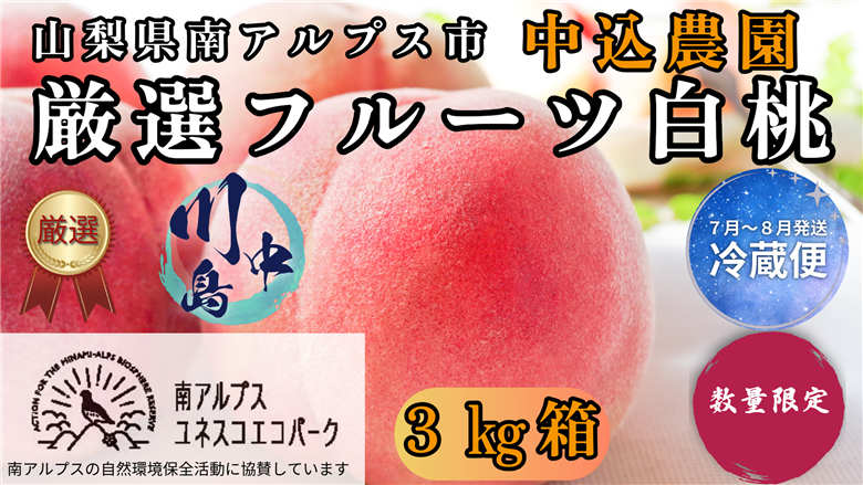 ＜2026年発送先行予約＞ 山梨県南アルプス市産 厳選桃 (川中島) 3kg ALPEM005