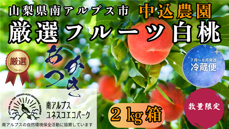 ＜2026年発送先行予約＞ 山梨県南アルプス市産 厳選桃 (あかつき) 2kg ALPEM006