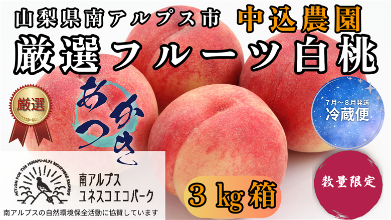 ＜2026年発送先行予約＞ 山梨県南アルプス市産 厳選桃 (あかつき) 3kg ALPEM007