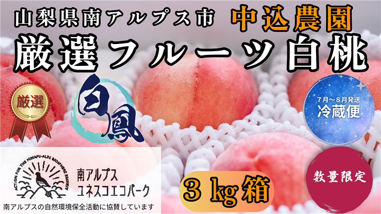 ＜2026年発送先行予約＞ 山梨県南アルプス市産 厳選桃 (白鳳) 3kg ALPEM009
