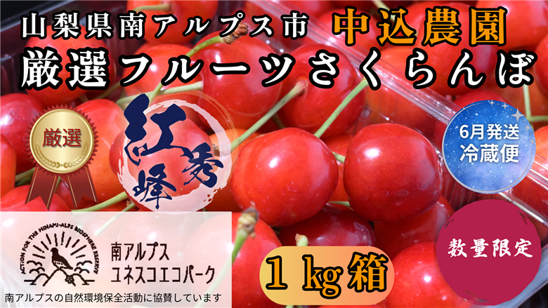 ＜2026年発送先行予約＞ 山梨県南アルプス市産 厳選さくらんぼ (紅秀峰) 1kg ALPEM013