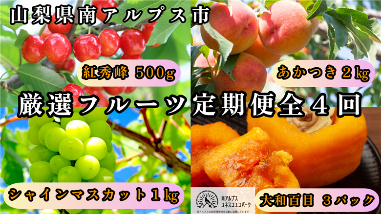 ＜2026年発送先行予約＞山梨県南アルプス市産 厳選フルーツ定期便全4回A(さくらんぼ・桃・シャインマスカット1kg・あんぽ柿) ALPEM015