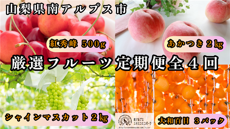 ＜2026年発送先行予約＞山梨県南アルプス市産 厳選フルーツ定期便全4回B(さくらんぼ・桃・シャインマスカット2kg・あんぽ柿) ALPEM016