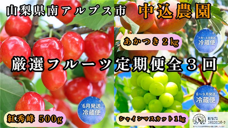 ＜2026年発送先行予約＞山梨県南アルプス市産 厳選フルーツ定期便全3回A(さくらんぼ・桃・シャインマスカット1kg) ALPEM017