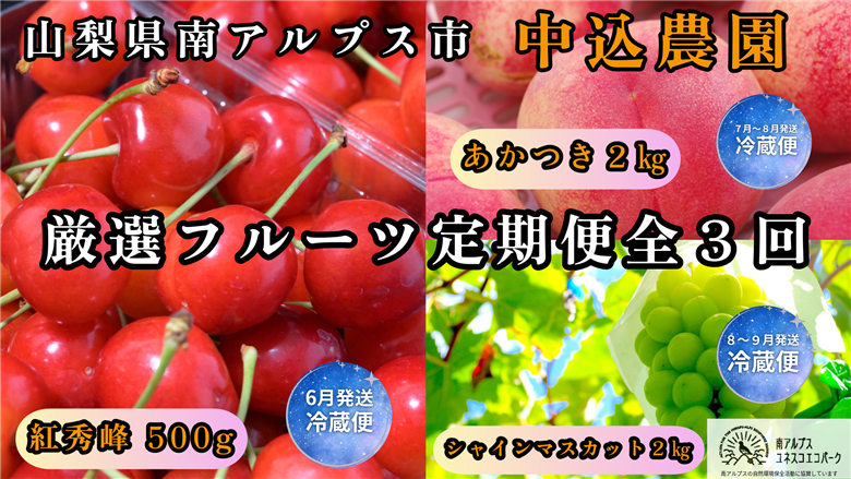 ＜2026年発送先行予約＞山梨県南アルプス市産 厳選フルーツ定期便全3回B(さくらんぼ・桃・シャインマスカット2kg) ALPEM018
