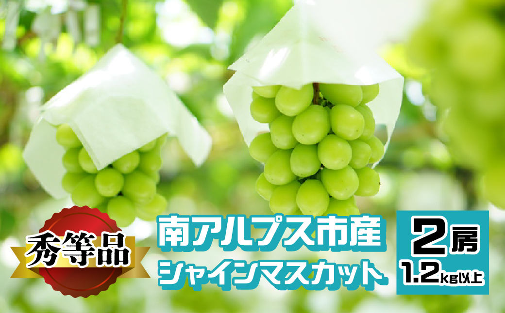 ＜2026年発送先行予約＞南アルプス市産 シャインマスカット 秀等品 1.2kg以上　（2房） ALPEV002