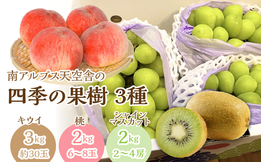 南アルプス天空舎の果樹３品その２（キウイ,もも，シャインマスカット） ALPAB008