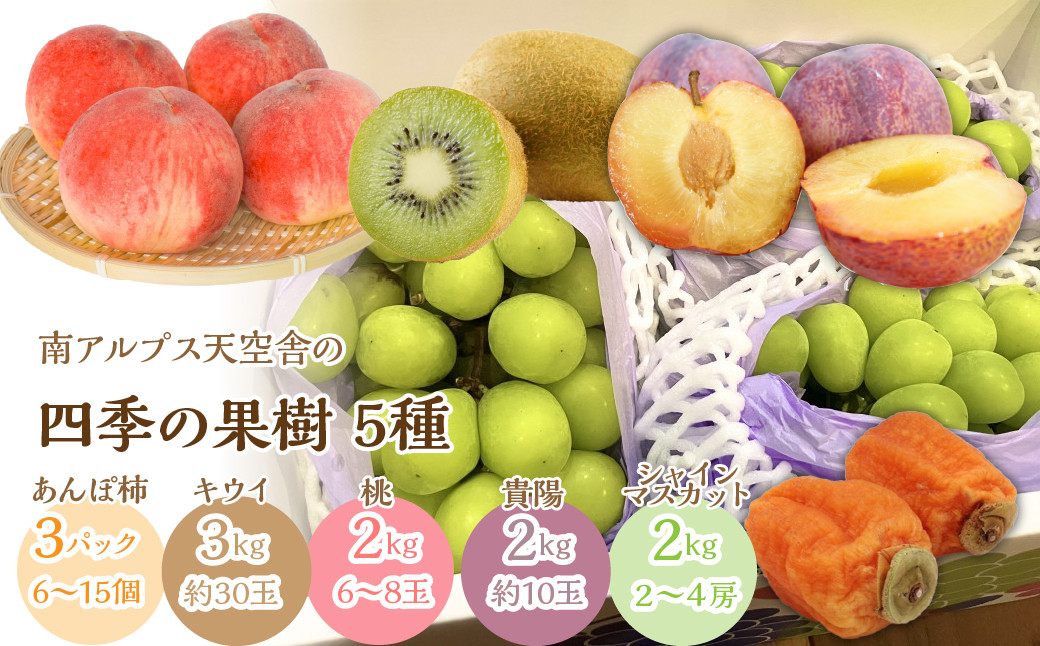 南アルプス天空舎四季の果樹５種（あんぽ柿,キウイ,もも,貴陽,シャインマスカット） ALPAB012