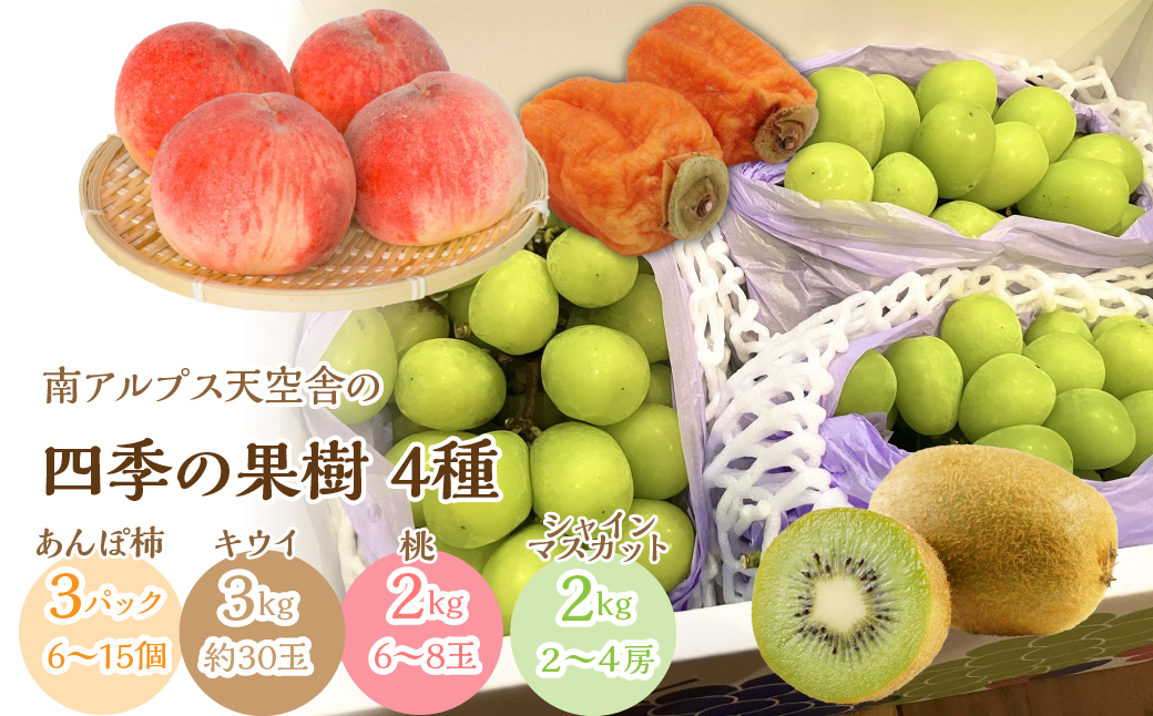 南アルプス天空舎四季の果樹４種（あんぽ柿,キウイ,もも,シャインマスカット） ALPAB115