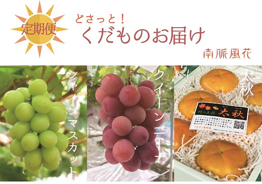 【先行予約】年３回フレッシュフルーツ定期便（クイーンニーナ、シャインマスカット、柿）　 ALPAJ015