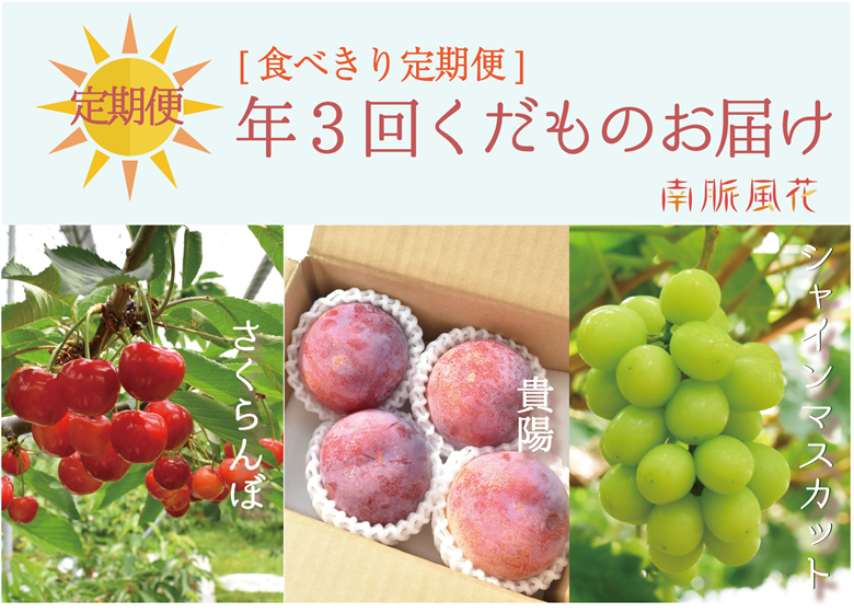 【先行予約】【食べきり定期便】年3回くだもの定期便セットC（さくらんぼ、貴陽、シャインマスカット）　 ALPAJ021
