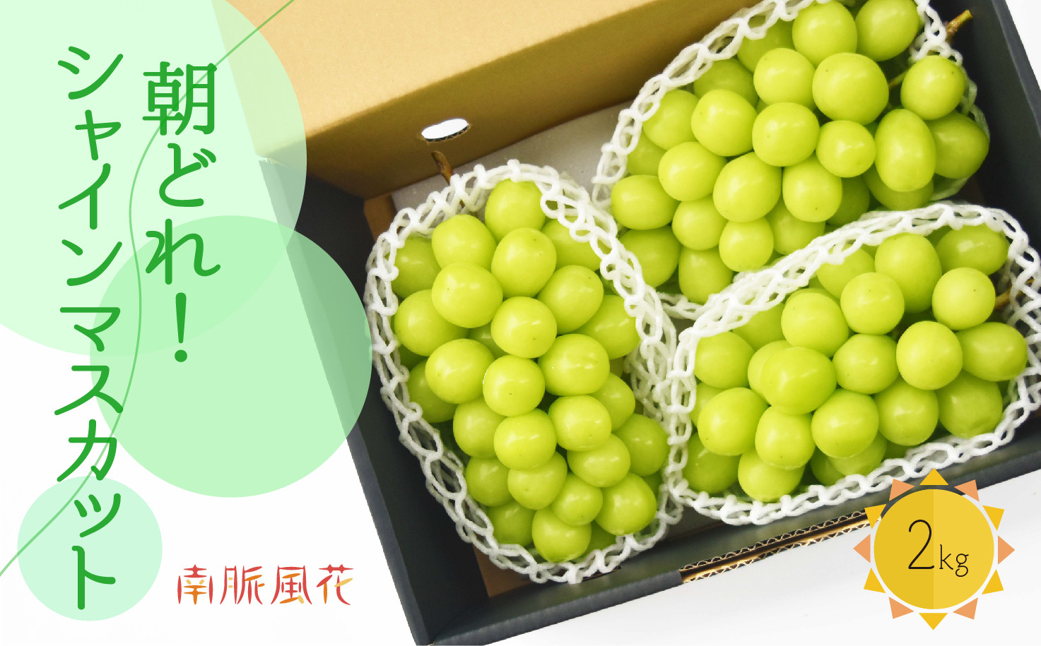 ＜2026年発送分先行予約＞ 朝採れ！シャインマスカット2kg　 ALPAJ023