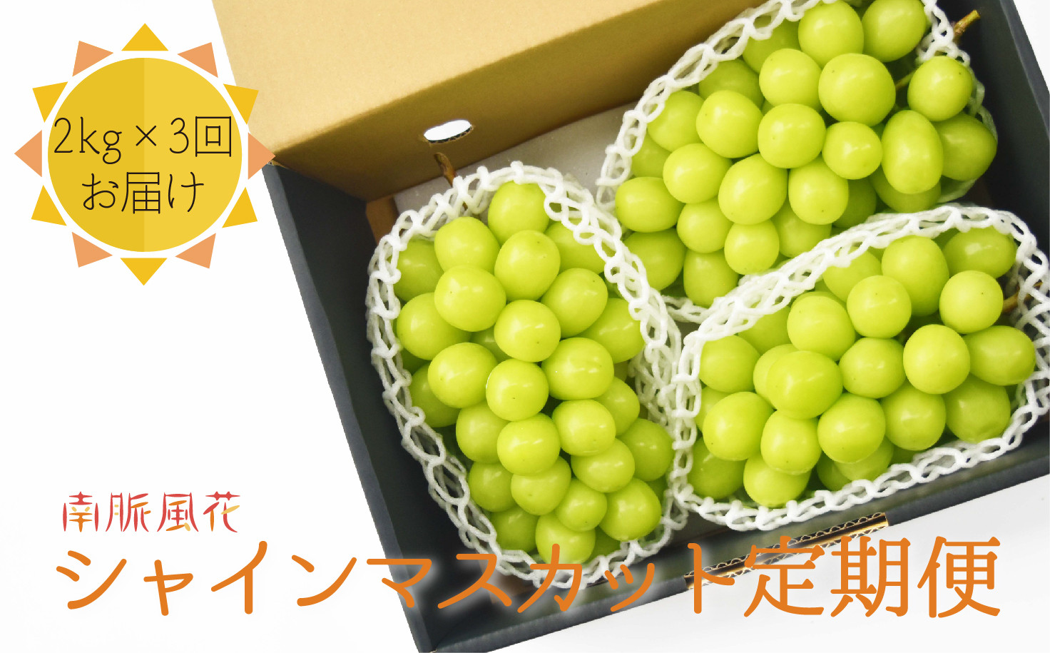 【2026年先行予約】シャインマスカット贅沢定期便2kg×3回 ALPAJ024