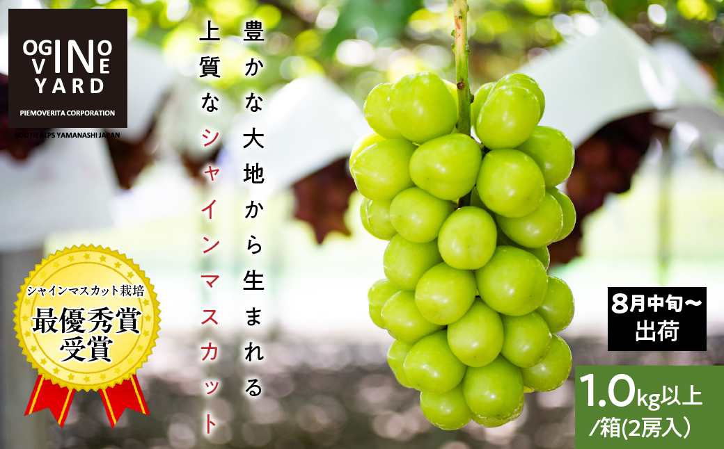 【2026年先行予約_8月中旬～発送】山梨県産シャインマスカット 1.0kg以上／箱　2房入 ALPAK004