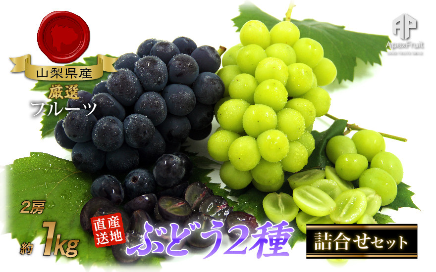 ＜2026年発送先行予約＞ 厳選！南アルプス市産　ぶどう２種詰合せ　2房　約1.0kg ALPDD008
