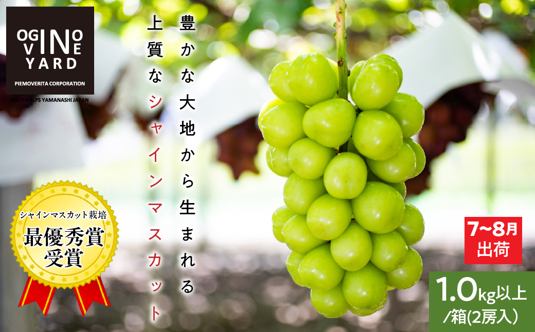 [2026年発送先行予約]山梨県産早期出荷シャインマスカット 1.0kg以上/箱 2房入 AL